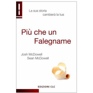 Più che un Falegname